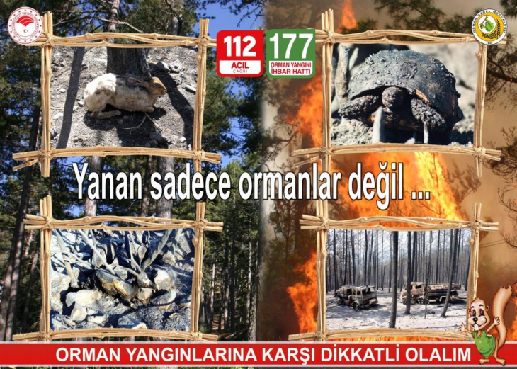 Orman yangınlarına karşı vatandaşlar uyarıldı