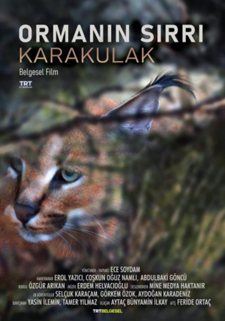 'Karakulak' Avusturya Doğa Filmleri Festivali'nde finale kaldı