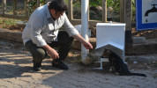 Ölüdeniz'de sokak hayvanları için özel mama kapları yerleştirildi
