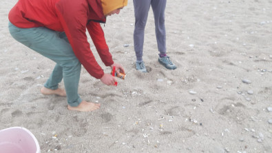 Duyarlı Rus vatandaları sahili temizledi