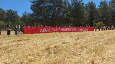 İkizköy Akbelen Ormanı Hem Muğla'nın hem de Türkiye'nin sorunudur!